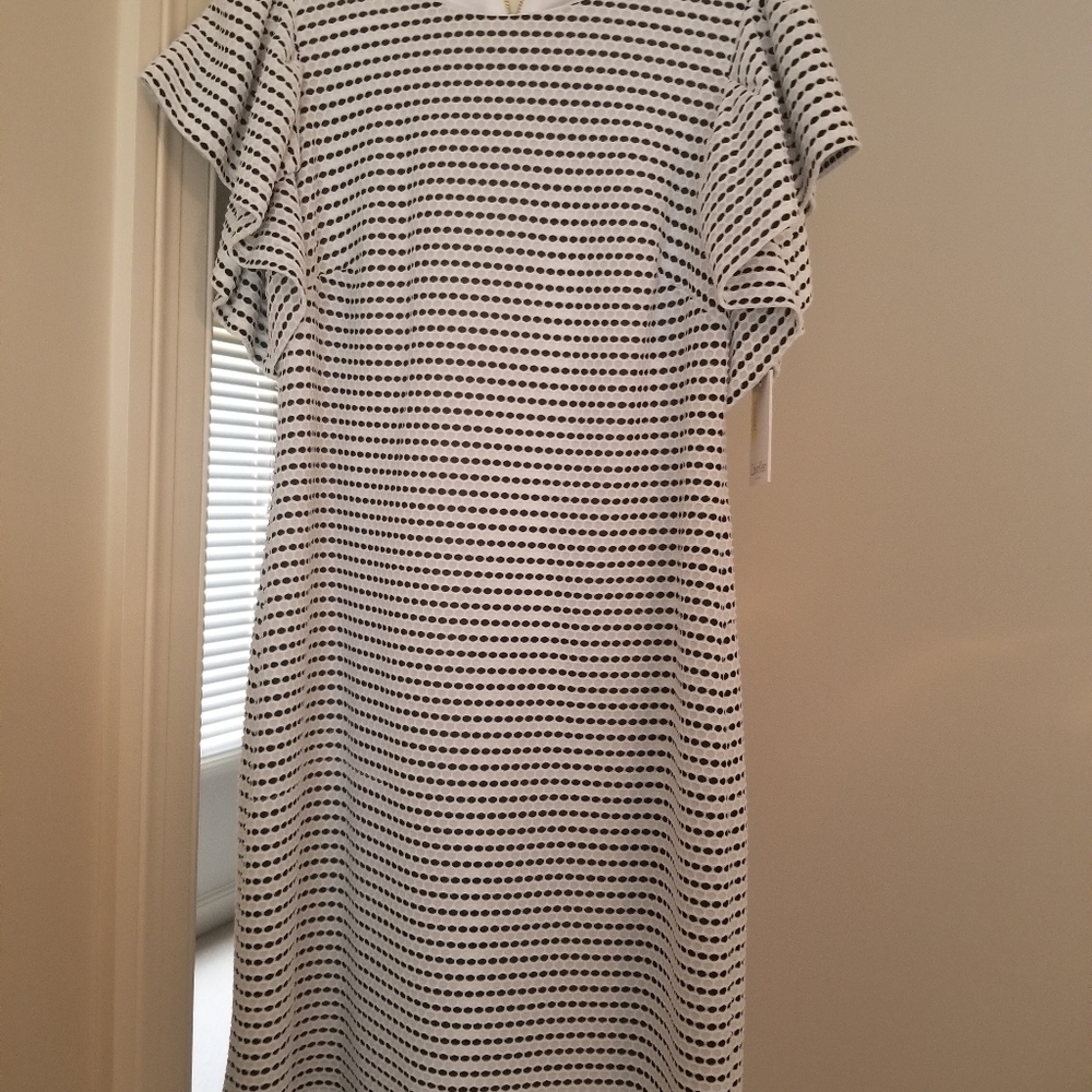 Calvin Klein Dress size 8